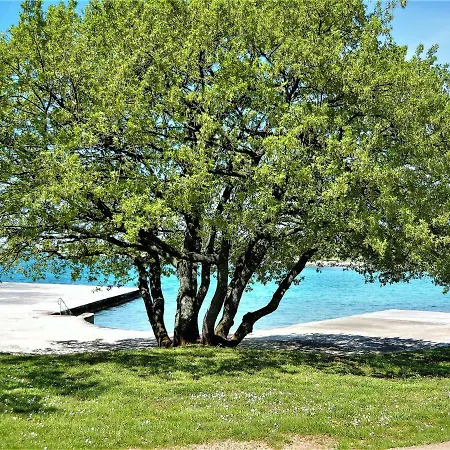 Claire *